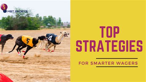 greyhound betting strategies|Greyhound Betting Tips: Top Strategies for Smarter Wagers.
